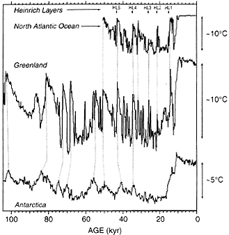 Records of historic temperature, based on isotopic composition, from the GISP2 ice core ("Greenland"), compared on the same time-scale with an Antarctic record. In the top two panels, "Heinrich layers" (sediments of ice-rafted terrestrial debris) and temperature variations from the North Atlantic (inferred from the faunal remains) are plotted on the same time scale. The rapid "flickers" in global temperature are correlated in the bottom records, and warming episodes appear to correspond to Heinrich layers, as would be expeted from massive iceberg discharge. Bbefore about 10,000 years ago, the global climate underwent frequent and relatively brief oscillations between quasi-steady states.32 These changes, of the order of 6 or even 8 degrees Celsius, took place over a very few decades -- much faster than had been previously supposed.